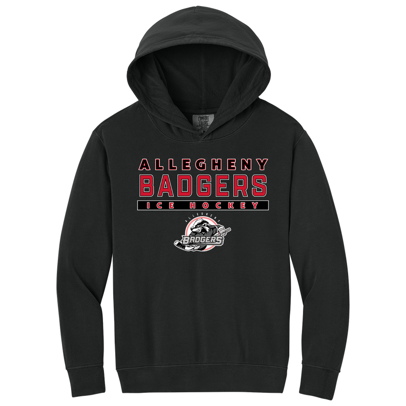 Allegheny Badgers Youth Lightweight Hooded Sweatshirt