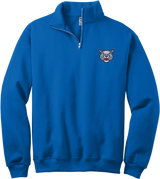 CT Bobcats NuBlend 1/4-Zip Cadet Collar Sweatshirt