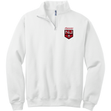 NJ Raiders NuBlend 1/4-Zip Cadet Collar Sweatshirt