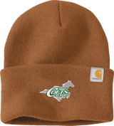 NJ Colts Carhartt Watch Cap 2.0