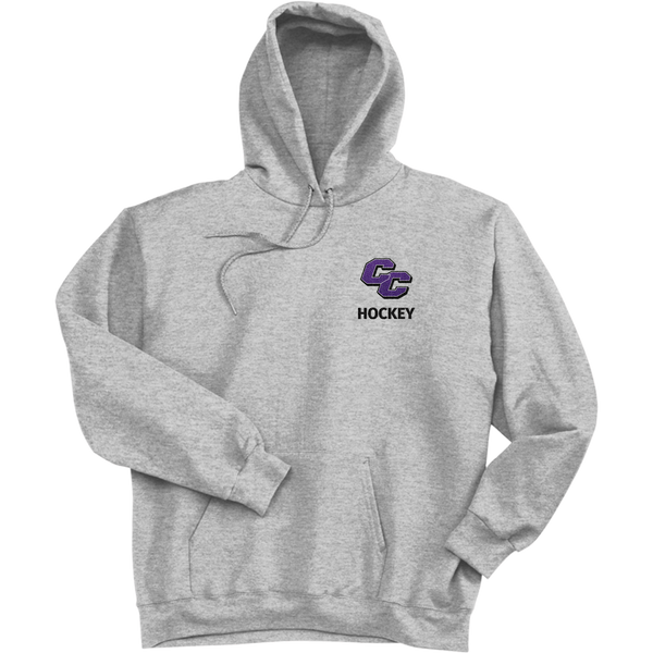 Curry College Ultimate Cotton - Pullover Hooded Sweatshirt