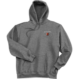 Philadelphia Blazers Ultimate Cotton - Pullover Hooded Sweatshirt