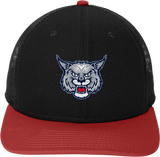 CT Bobcats New Era Snapback Low Profile Trucker Cap