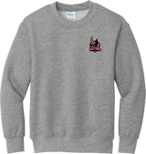 NJ Valkyries Youth Core Fleece Crewneck Sweatshirt