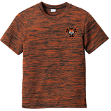 Princeton Jr. Tigers Youth PosiCharge Electric Heather Tee